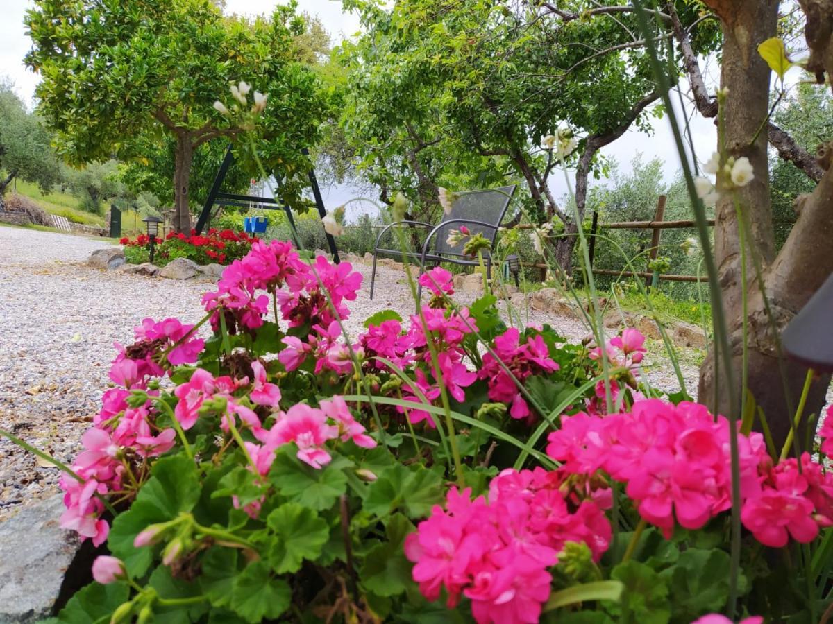 Casa Rural El Bonito Cazalla de la Sierra Exteriér fotografie
